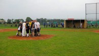 Die siebte Auflage – Mixed Softball Champions League Am 04. und 05. Juni 2011 treffen sich die besten Teams des vergangenen Jahres in Berlin und spielen die Deutsche Meisterschaft im Mixed Fastpitch Softball...