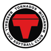 mannheim-tornados-logo_100p
